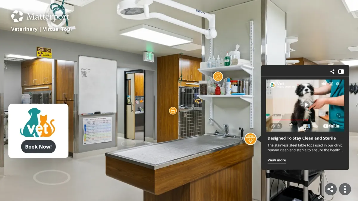Veterinary & Animal Care